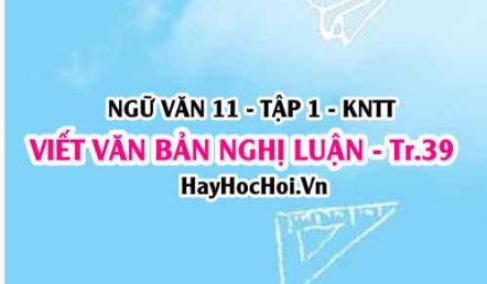 Soạn bài Viết văn bản nghị luận về một tác phẩm truyện trang 39 Ngữ văn lớp 11 Kết nối tri thức tập 1